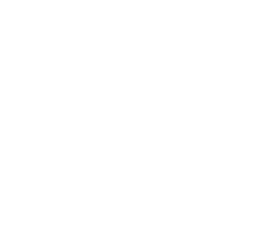 Fly Photos