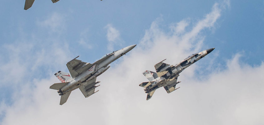 Photo of the day: A pack of Hornets