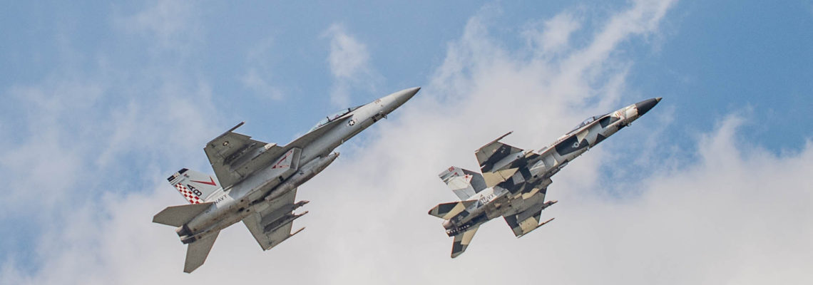 Photo of the day: A pack of Hornets